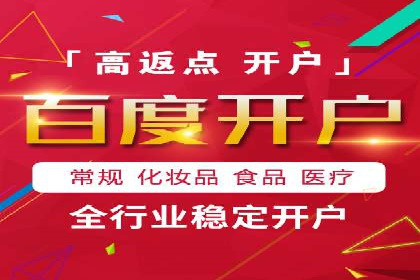 百度竞价推广运营实战技巧与经典案例剖析